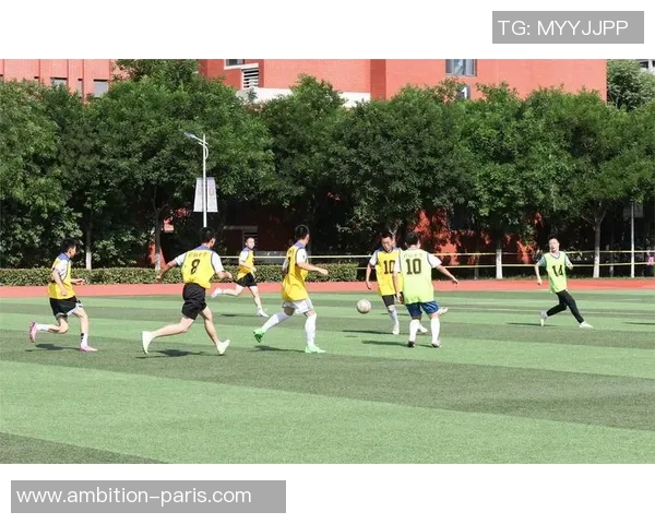 足球宝贝儿的魅力与热情如何点燃赛场激情与青春梦想